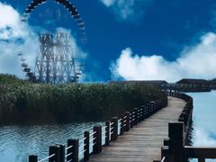 -苏州太湖湖滨国家湿地公园