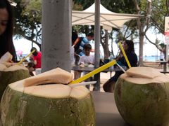 -东海岸人工湖美食村