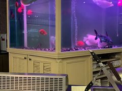 -丹鼎铁板料理(市政娱乐中心店)