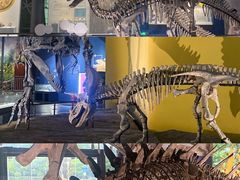 -湖南省地质博物馆