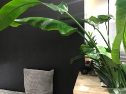 -Garden花園造型
