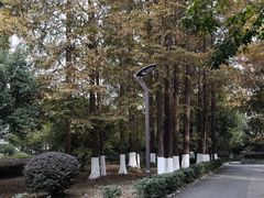-南京航空航天大学(明故宫校区)
