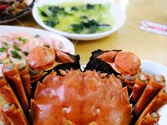 大闸蟹-宾湖农庄·农场特色(太湖龙之梦店)
