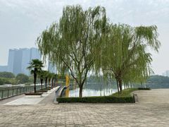 -白塘生态植物园
