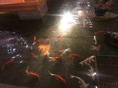 -松子料理(亮马桥店)