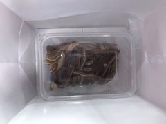 -同庆楼(金宝汇店)