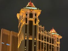 -澳门威尼斯人综合度假区