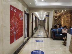 -碧莲盛·不剃发植发