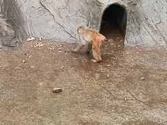-无锡动物园·太湖欢乐园