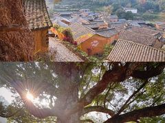 -杨家堂村