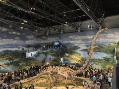 -自贡恐龙博物馆