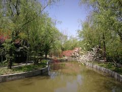 -南汇桃花村