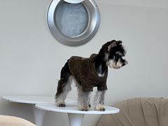 -怪兽屋·羊驼·猫咖·狗咖(俊华广场店)