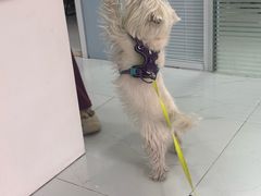 -纳吉亚猫专科动物诊疗中心(蒋宅口分院)