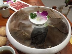 毛肚-宝泉铜锅(高新店)