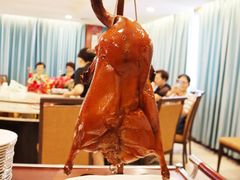 -朱仔记食府(江南大道店)