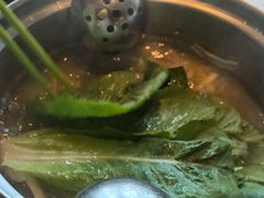 -润园四季椰子鸡火锅(海上世界店)