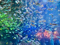 -成都浩海立方海洋公园