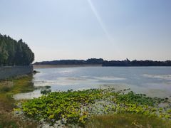 -青龙湖公园