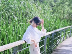 -西湖风景区-江洋畈生态公园
