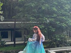 -深圳国际园林花卉博览园