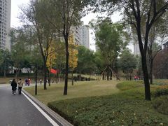 -沐仙湖湿地公园