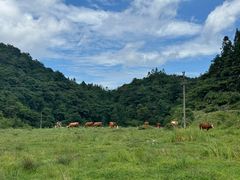 -山王坪喀斯特国家生态公园