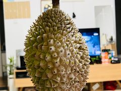 -百果园PAGODA(沿海赛洛城店)