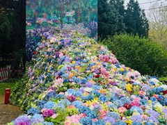 -上海共青森林公园