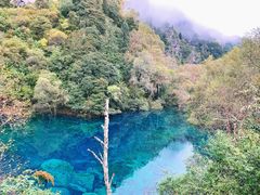 -叠溪松坪沟景区