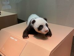 -深圳博物馆历史民俗馆