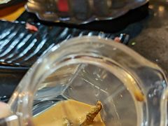 -果松木炭酸菜铜火锅·外婆参鸡汤