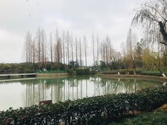 -黄兴公园