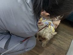 -中农大我爱我爱24h动物医院·中医针灸·猫专科·骨科医疗中心(双井店)