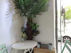 -津椰本·海南正宗椰奶清补凉(店一店)