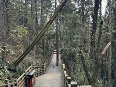 -娄山关景区