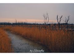 -野鸭湖国家湿地公园