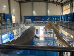 -上海海洋大学鱼文化博物馆(军工路校区)