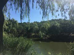 -北京张裕爱斐堡酒庄