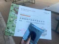 -Torch Coffee 炬点咖啡