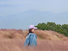 -嘉北郊野公园