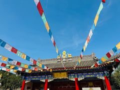 -安多素食(广仁寺路店)