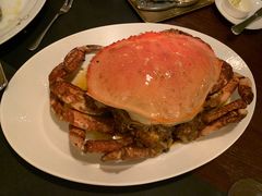 -壳里西餐厅Coquille Seafood Bistro(蒙自路店)