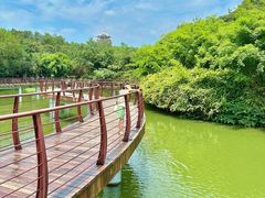 -南湾湖