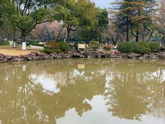 -瀛洲公园
