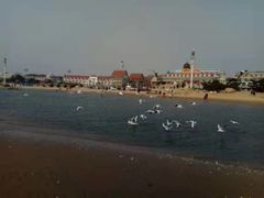 -老虎石海上公园