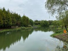 -贡湖湾湿地公园