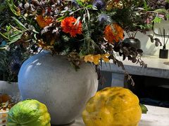 -自由生长植物工作室(深港花卉中心店)