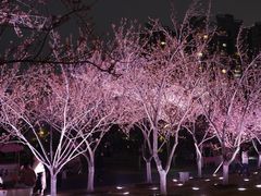 -西北湖绿化广场