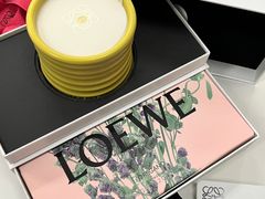 -LOEWE罗意威(北京SKP女装店(一层))